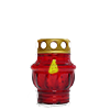 Znicz