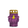 Znicz